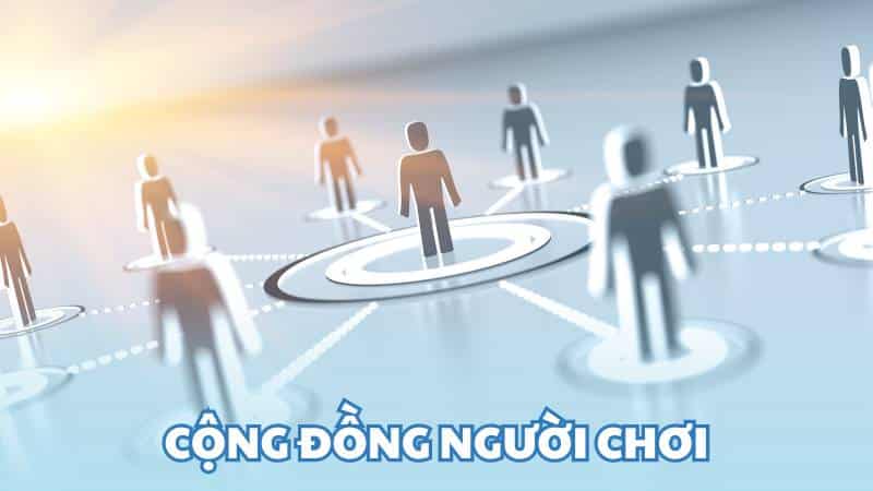 Cộng đồng người chơi so sánh nhà cái Kubet và New88